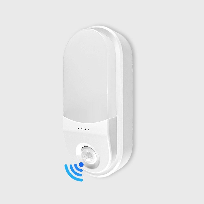 LED seinavalgusti 15W IP66 Sensor